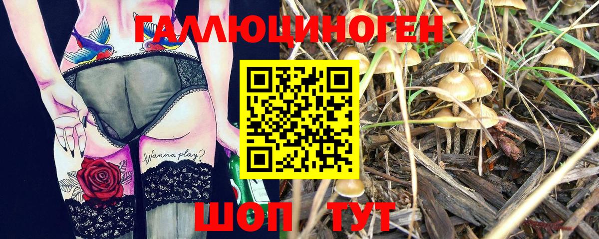 Орехово-Зуево  Псилоцибиновые грибы Psilocybine cubensis  Вход с VPN 